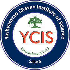 YCIS College Satara